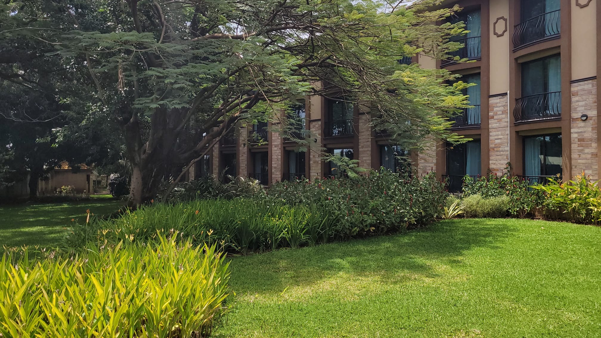 Open garden lawn beside the hotel, shaded by mature trees